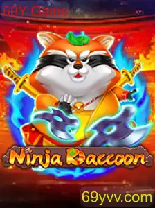NinjaRaccoon